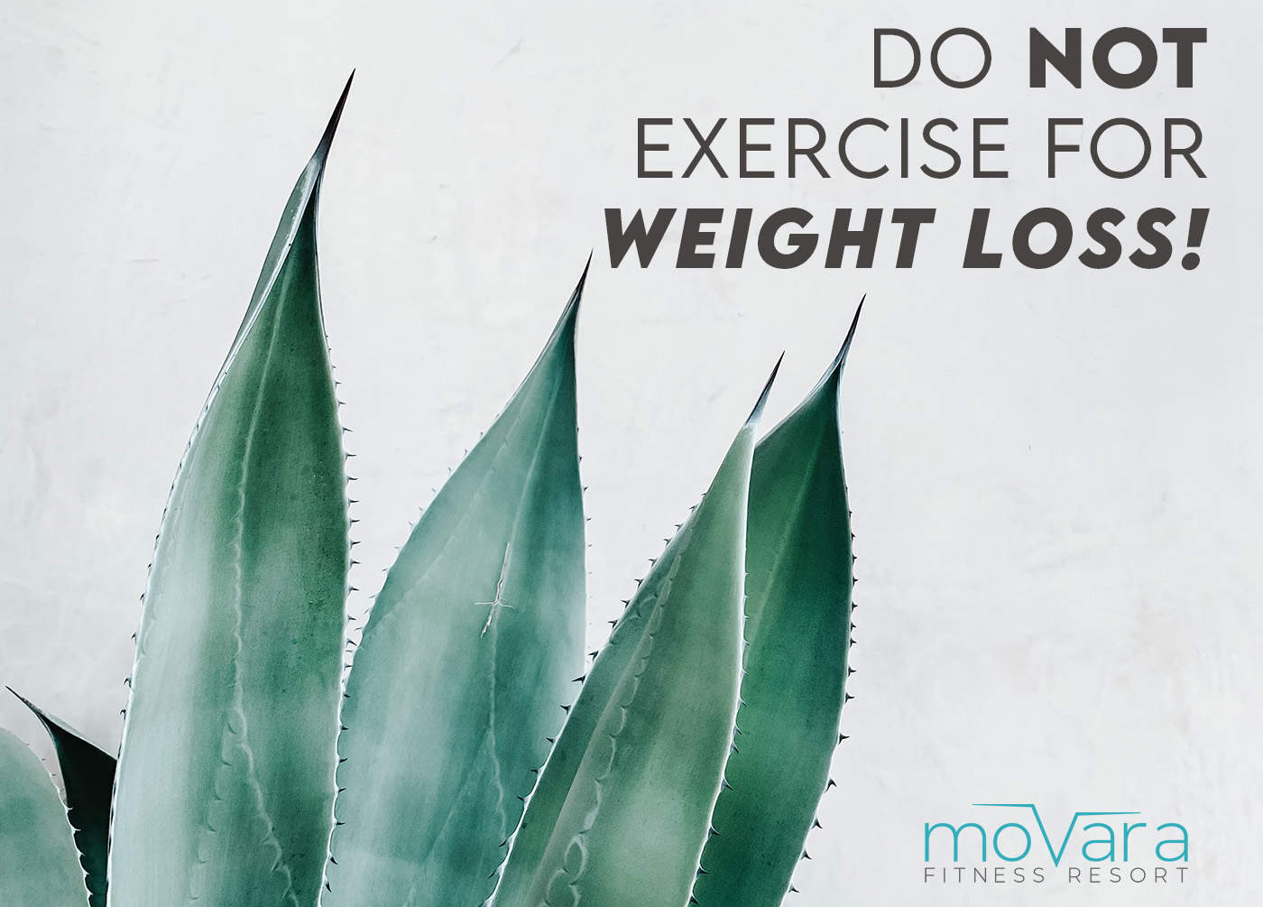 You are currently viewing Do NOT Exercise for Weight Loss!